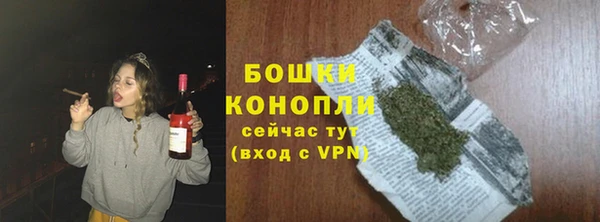 гашик Корсаков
