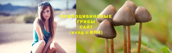 mix Козловка