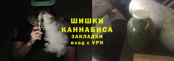 молекула духа Козельск