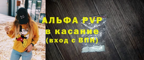 молекула духа Козельск