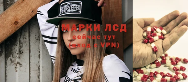 молекула духа Козельск