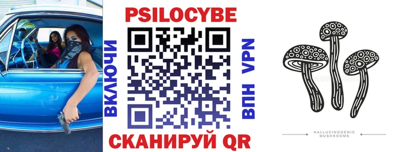 Галлюциногенные грибы Psilocybe  Купить где  Льгов 